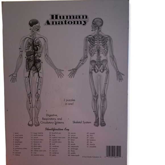 Vintage Frank Schaffer / Robert Greisen Human anatomy floor puzzle - Picture 2 of 2